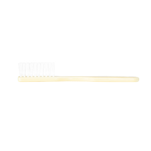 Dawn Mist TB20I 30 Tuft Ivory Handle 4" Toothbrushes (Case)