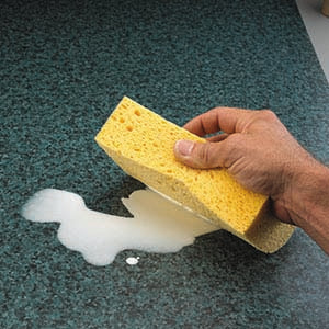 Cleaning Sponges (2-pack)