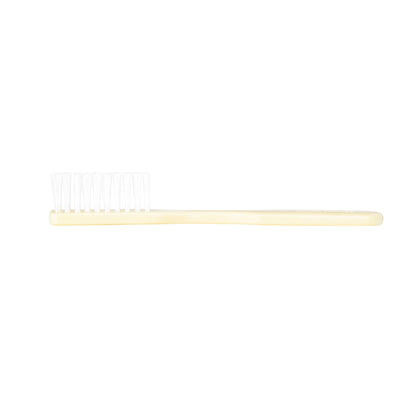 Dawn Mist TB20I 30 Tuft Ivory Handle 4" Toothbrushes (Case)
