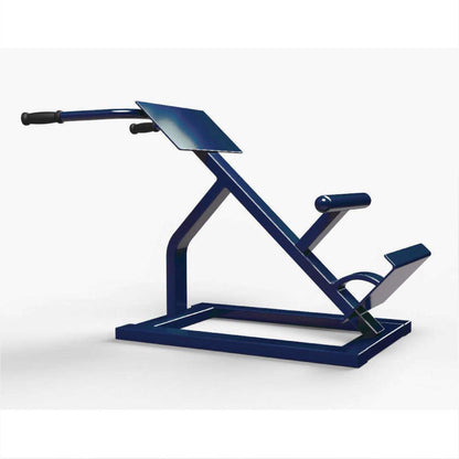 TriActive Back Extension (BEXT) for Corrections Facilities