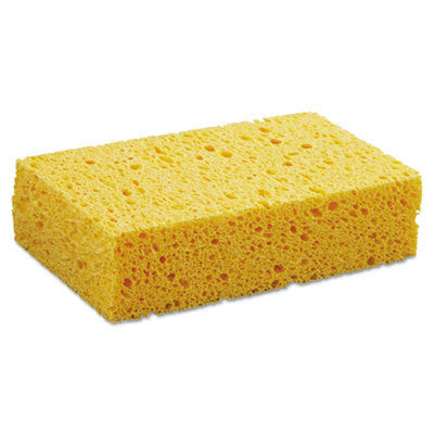 Cleaning Sponges (2-pack)